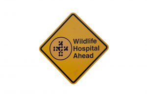 florida-wildlife-rescue-hospital