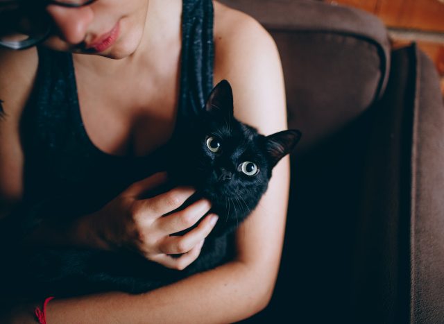 sweet black cat snuggles