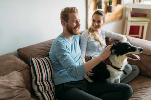 play fun games indoors with your dog
