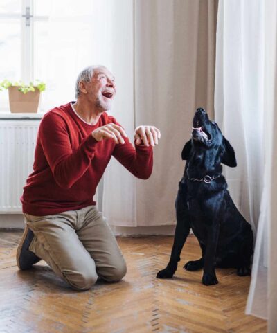 indoor games to play with your dog