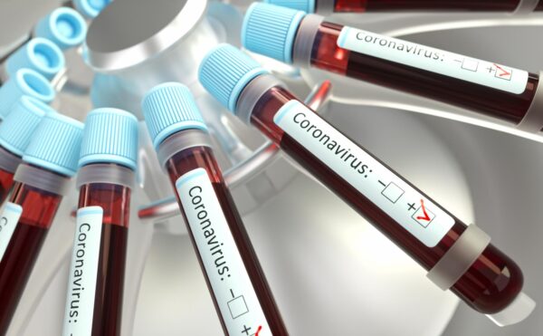coronavirus and your pets