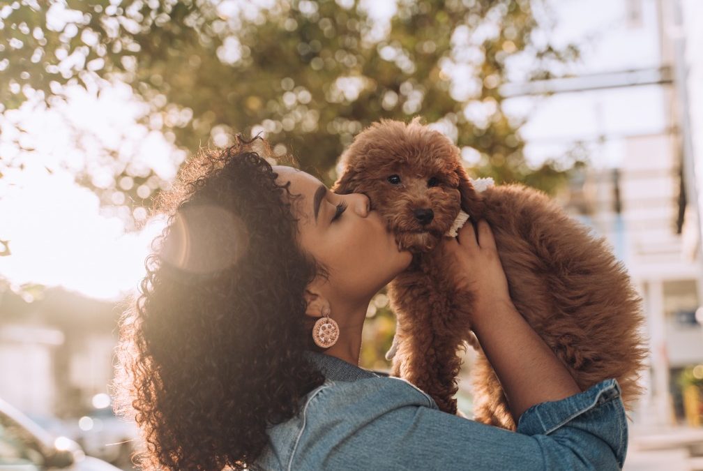 Top 10 Must-Have Items for New Pet Parents