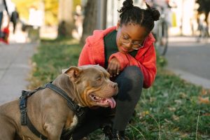 pit bull with family and children