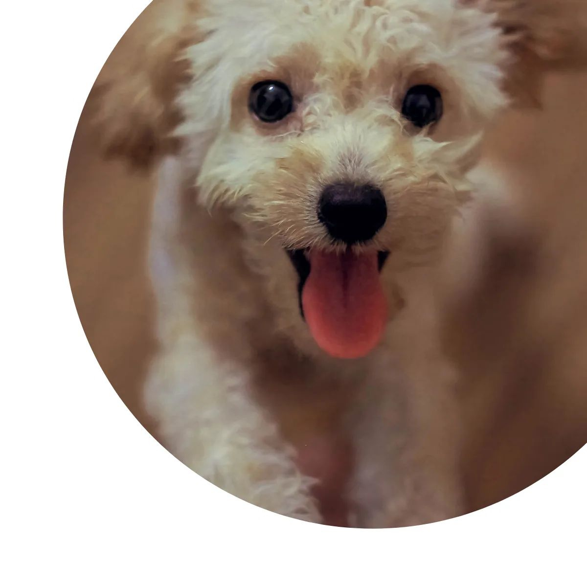 Untitled Design (1) homepage 7