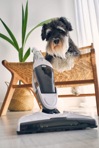 best vacuum for pets