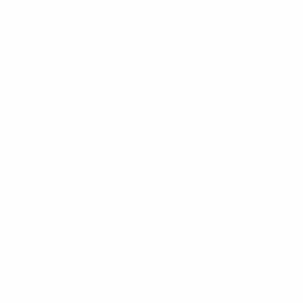 Vacation Space Coast Pet Services homepage 9