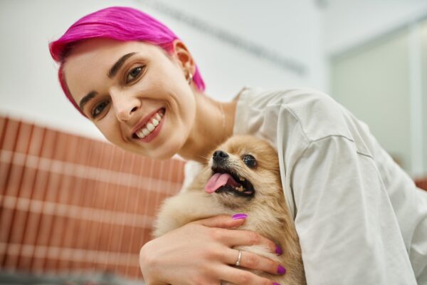 myths about professional pet sitting in viera fl