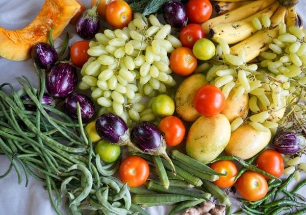 parakeet care feeding tips