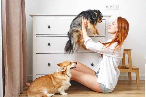 family-style dog boarding in viera
