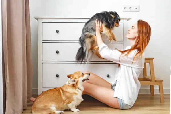 family-style dog boarding in viera