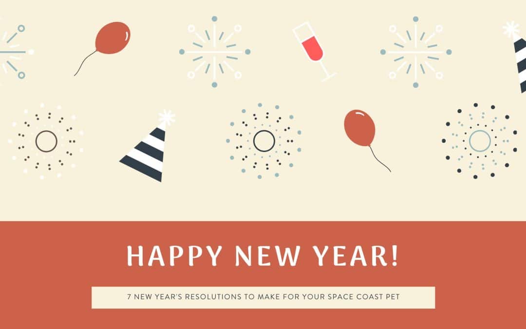 Exciting New Year’s Resolutions to Make for Your Pet in 2026