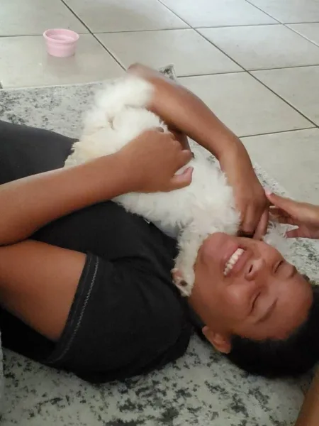 rover alternative in viera