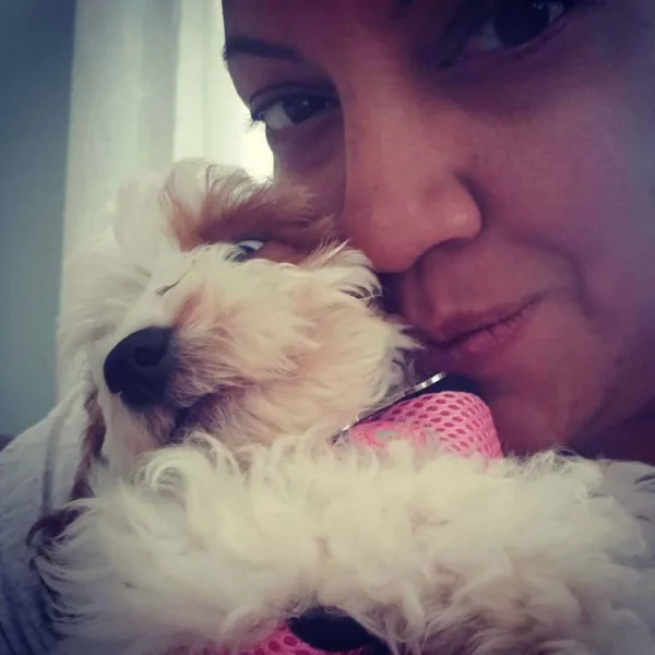 looking for a rover alternative in viera